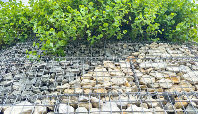 Why Do Engineers Prefer Gabion Mesh for Long Term Stability?